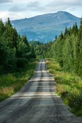 Fototapeta na wymiar road to the mountains. åre, sweden.norrland.sverige,