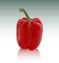 Realistic 3D Bell Pepper, View From The Front
