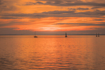 Small sailboats stretched along the horizon in the light of the setting sun.