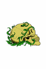 flora skull