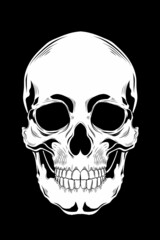 Human skull vector illustration