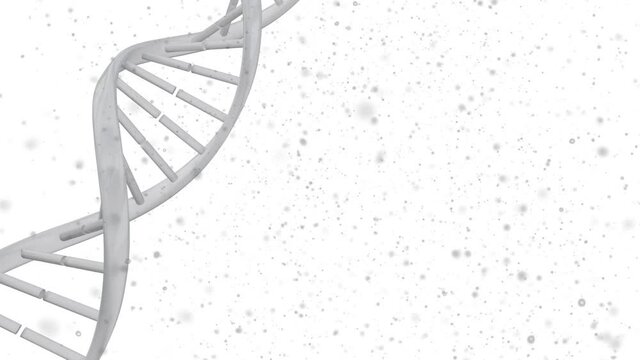 Animation of dna strand spinning with grey particles on white background