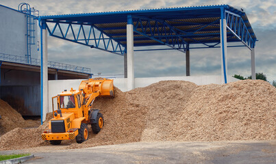 Front loader loading wood chips in pile in warehouse. Loader works at wood chips storage yard. Alternative ecological fuels. Sawdust processing, woodchip biomass heap. Pellets manufacturing - obrazy, fototapety, plakaty