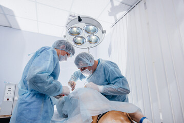 In a modern veterinary clinic, an operation is performed to save the life of a large dog. Surgery and medicine