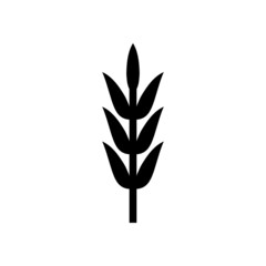 Wheat ears icon, grain logo isolated on a white background