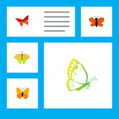 flat butterfly, spring, and Other vector objects.
