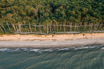 Gespensterwald in Rostock Nienhagen
