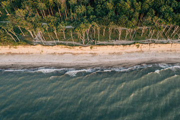 Gespensterwald in Rostock Nienhagen
