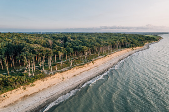Gespensterwald in Rostock Nienhagen
