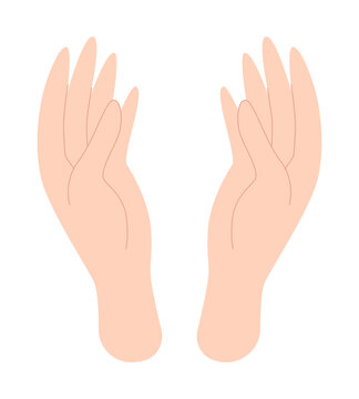 Woman's hand. Human hands, palms, body part. Vector illustration in flat style isolated on white background.