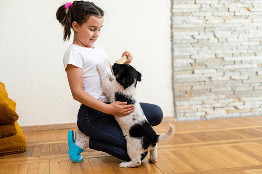 Portrait of happy little girl at home with puppy