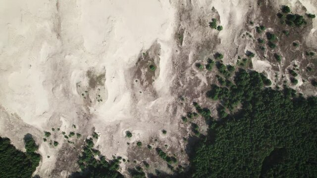 Curonian Spit, Efa dune. Fantastic relief combining desert, vegetation and sea.