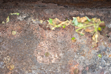 Rusty metal close up. Rust texture. Damaged steel surface. Grunge background. Hole in metal. Weathered dirty wall. Rust pattern. Scratched steel surface. 