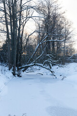 frozen water in the river during frosts