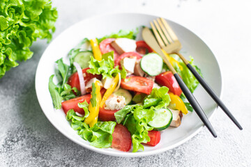 salad fresh vegetables lettuce leaves tomato, cucumber, onion, pepper outdoor meal snack on the table copy space food background rustic. top view keto or paleo diet veggie vegan or vegetarian food