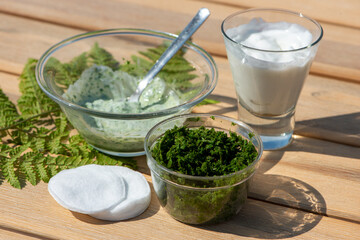 Wood Fern leaves and yogurt for healing cream.