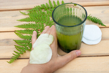 Obraz na płótnie Canvas Wood Fern leaves decoction for wound healing applications and skin problems.