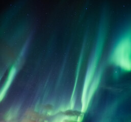 Aurora borealis, Northern lights with stars glowing in the night sky