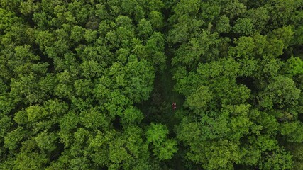 Aerial top down view of the narrow-gauge railway track in forest where a group of people ride on the railroad trolley. Adventure concept. - Powered by Adobe