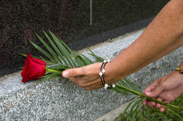 Person Placing a Single Rose on a Tombstone