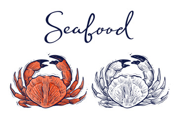Hand drawn sketchy crab, color and monochrome, vector