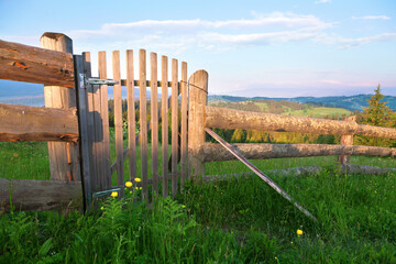 Wooden fence with a gate across a mountain field, lush green grass and flowers. Ukraine,...