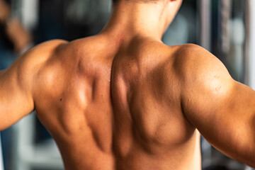 Fototapeta premium strong man exercising in the sport gym, workout exercise training in fitness for body strong and fit, healthy lifestyle athlete man active people, strength power of muscular bodybuilding weight