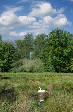 Idyll im Schwalm-Nette Naturpark bei Nettetal,Niederrhein,Deutschland
