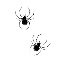 Black and white spiders silhouette clipart