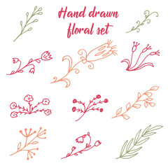 vector hand drawn floral set of elements for design