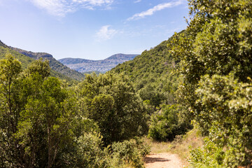 Vue sur le Massif de la Séranne depuis les gorges de Buèges (Occitanie, France)