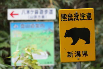 warning sign to bears