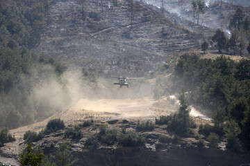 Black Hawk uh 60 helicopter rescue team approach landing in forest fire
