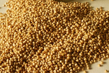 Sorghum and also known as great millet, durra, jowari, jowar, milo is a grass grain