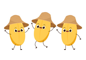 Fototapeta premium Rice character design. rice vector on white background. rice seed.