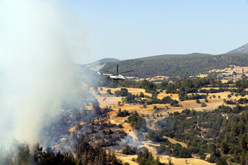fire fighting helicopter leaves water to the forest fire