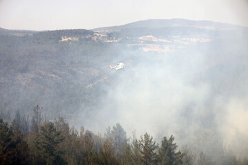 Fototapeta premium fire fighting helicopter leaves water to the forest fire