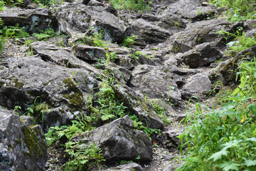 Bunch of stones in gorge in daytime