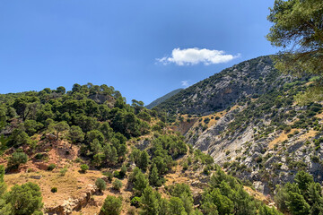 Fototapeta premium beautiful landscape with mountains covered with forest and clouds in the blue sky, summer, clear sunny day