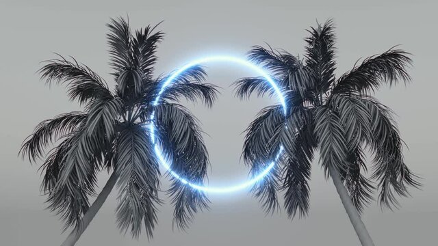 Circular neon frame in between two palm trees.