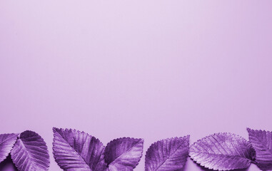 Leaves tinted purple horizontally from above. Autumn concept. Top view of autumn leaves in purple tinted with copy space for text at the bottom.