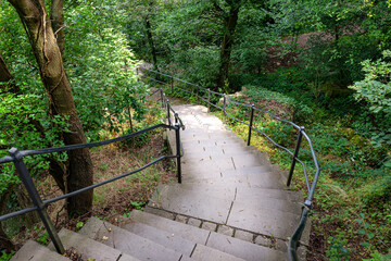 Concrete stairs with steel handrails in a dense forest, going down.