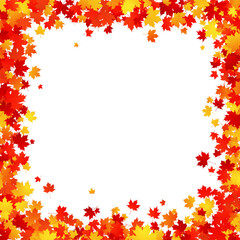 Maple leaves square border frame on white background. Vector