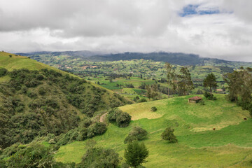 Fototapeta premium savana