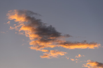 Fototapeta na wymiar Dinosaur shaped cloud at sunset in sky 