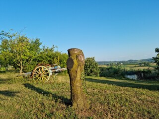 Italy, Monferrato, Langhe, old wagon and garden with fruit trees