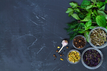 herbs and spices.fresh and dry spices for cooking. food ingredients on the black table. flat lay background with green herbs, spices and garlic with copy space. top view.