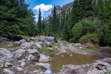 mountain river in park