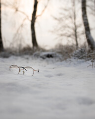 Glasses on snow