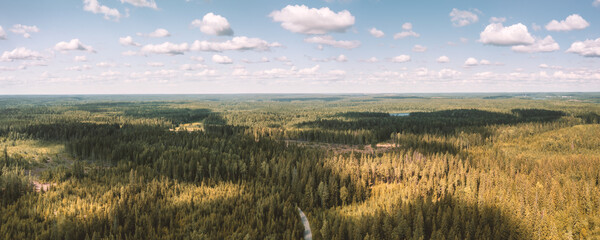 Large aerial scenic forest landscape with cloudy sky and spots of sun light